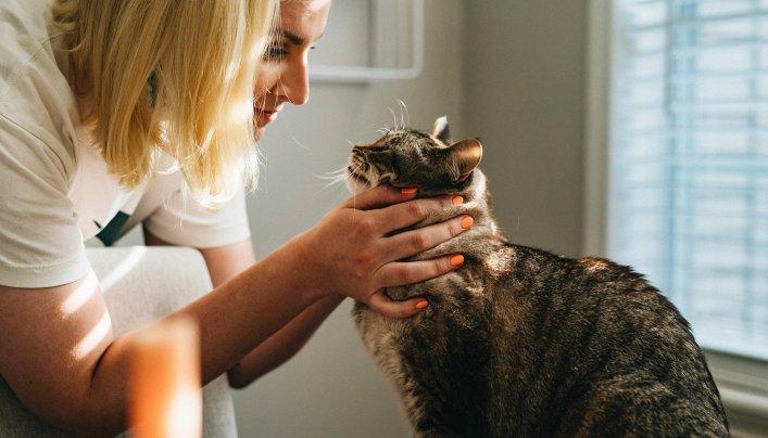 Tierärztliche Fachkraft im einfühlsamen Umgang mit einer Katze in einer ruhigen Praxis – zeigt den Praxisbezug digitaler Lernplattformen für Tierärzt*innen, entwickelt für Boehringer Ingelheim Animal Health.