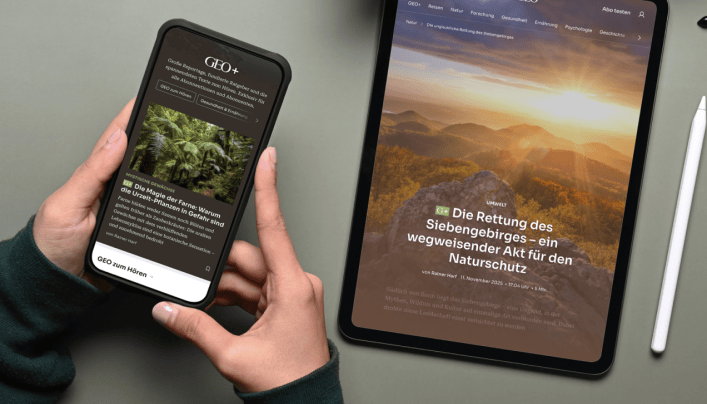 Smartphone und Tablet zeigen die neue Website der Marke GEO