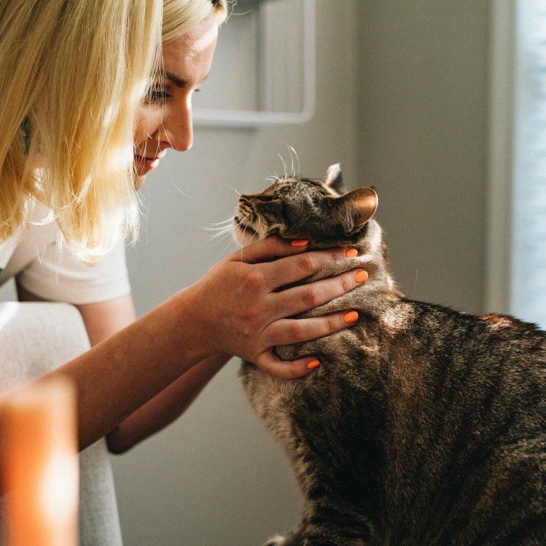 Veterinary professional interacting with a cat in a calm clinical setting – illustrating the real-world impact of digital learning platforms for veterinarians, developed for Boehringer Ingelheim Animal Health.
