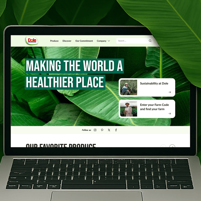Mockup of a laptop with a view of the Dole website on the screen, surrounded by banana tree leaves.ättern.