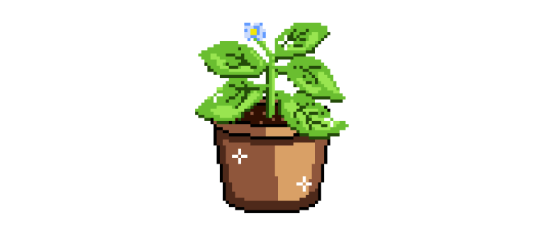 mage showing a full grown flower growing in a flower pot