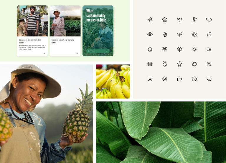 Image collage with various design impressions from the Dole website.