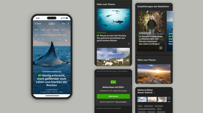 Mockup mit Smartphones, auf deren Displays verschiedene Artikel von GEO angezeigt werden.