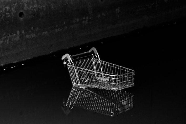 Shopping cart standing in water.
