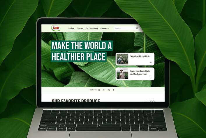 Mockup of a laptop with a view of the Dole website on the screen, surrounded by banana tree leaves.ättern.